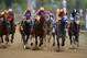 Eight will line up in the Pennsylvania Derby at Parx Racing