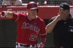Watch: Halos and M's Invaded by Swarm of Bees