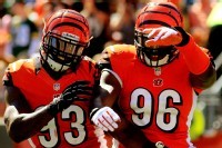 Bengals_crop_north