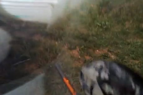 Roy Hibbert Plays Paintball While Wearing Google Glass (VIDEO)