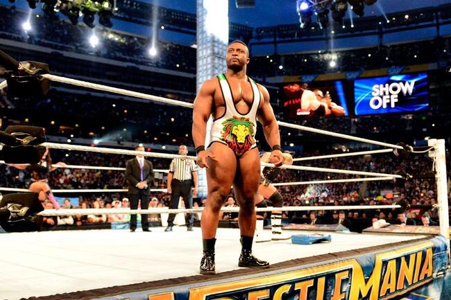 Wm29_photo_059_crop_north