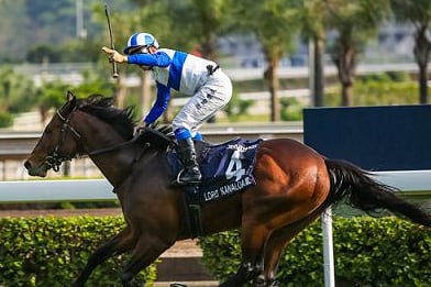 Lord Kanaloa Repeats in Sprinters Stakes