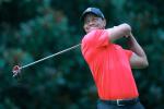 Tiger Tops List of Highest Earners on PGA in 2013