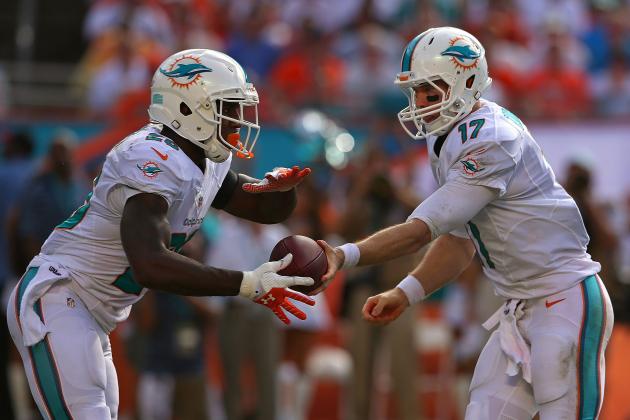 Are Dolphins Ready for the Spotlight?