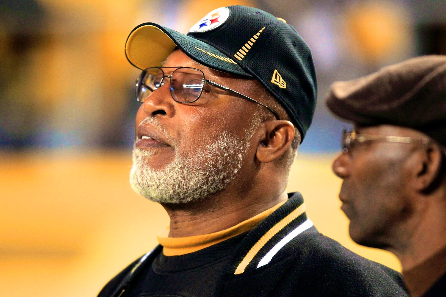Former Steelers DE L.C. Greenwood Dies at Age 67 Bleacher Report