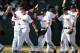 BOSTON, MA - SEPTEMBER 22: Daniel Nava #29, Dustin Pedroia #15, and Stephen Drew #7 of the Boston Red Sox slap high fives with teamates after their win against the Toronto Blue Jays at Fenway Park on September 22, 2013 in Boston, Massachusetts. (Photo by Darren McCollester/Getty Images)