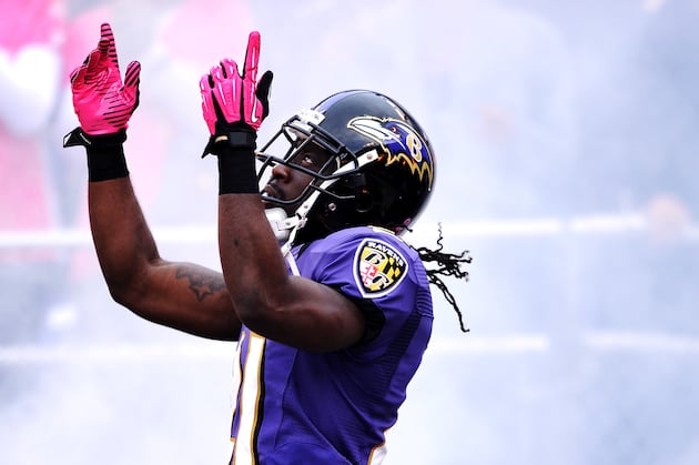 Webb Returns to Practice, Pitta Sighting