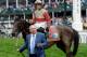 Hall of Fame trainer Shug McGaughey has another Kentucky Derby contender.
