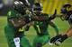 RB Byron Marshall has stepped in for the injured De'Anthony Thomas to lead the Ducks in rushing over the past two weeks.