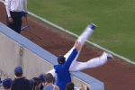 Watch: Crawford Somersaults into Stands
