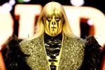 Why Goldust Could Thrive in Jericho-Type Role