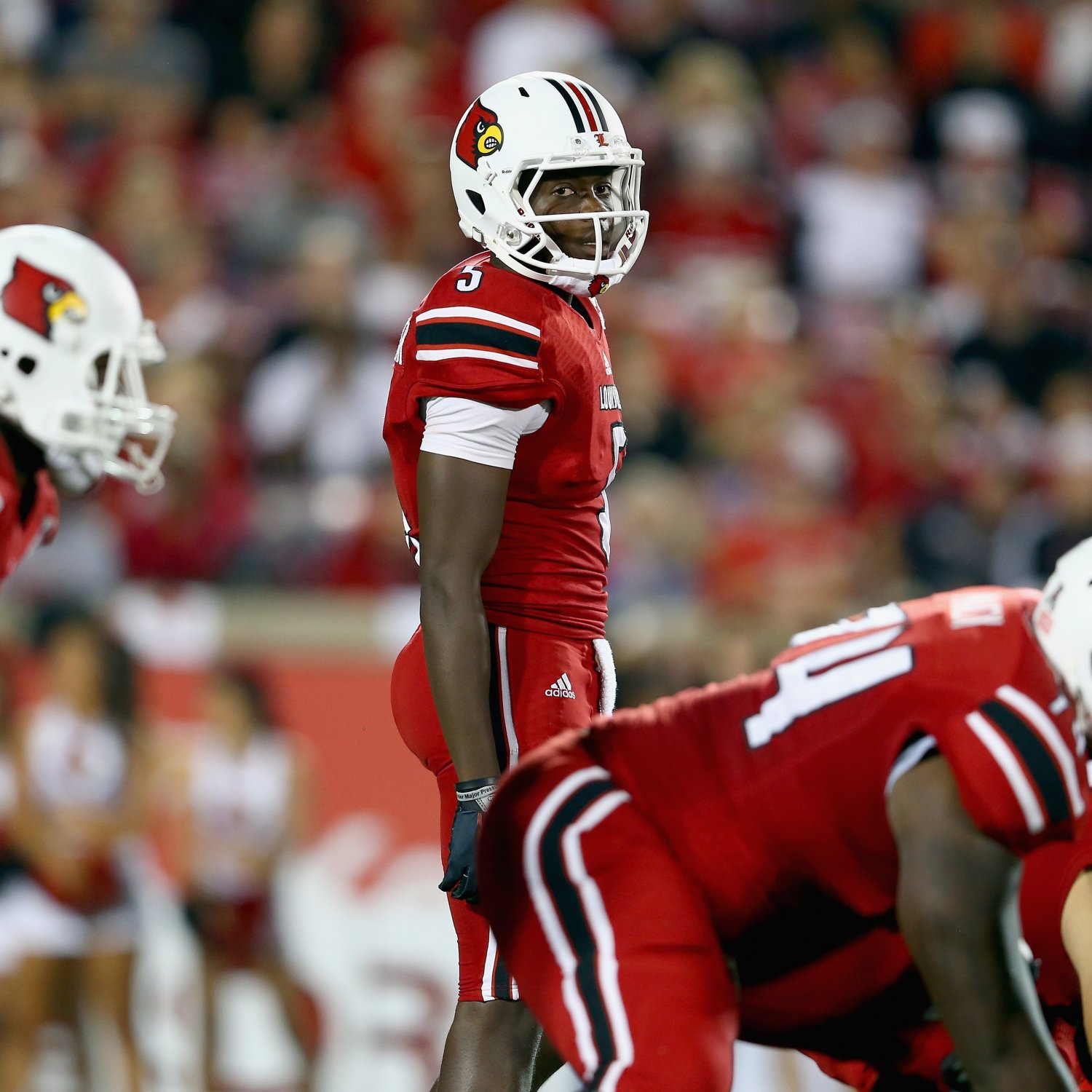 Louisville Football: Will the Cardinals Reach the BCS National Championship? | Bleacher Report