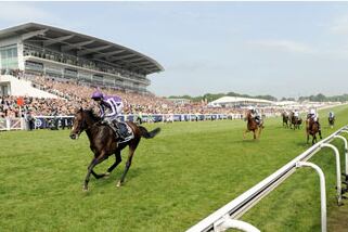 Camelot Retired to Stand at Coolmore Next Year