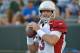 Aug 9, 2013; Green Bay, WI, USA; Arizona Cardinals quarterback Carson Palmer warms up before the game against the Green Bay Packers at Lambeau Field. Mandatory Credit: Benny Sieu-USA TODAY Sports