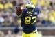 Oct 5, 2013; Ann Arbor, MI, USA; Michigan Wolverines tight end Devin Funchess (87) celebrates a reception in the fourth quarter against the Minnesota Golden Gophers at Michigan won 42-13. Michigan Stadium. Mandatory Credit: Rick Osentoski-USA TODAY Sports