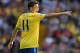 WEST BROMWICH, ENGLAND - OCTOBER 06: Mesut Oezil of Arsenal points during the Barclays Premier League match between West Bromwich Albion and Arsenal at The Hawthorns on October 6, 2013 in West Bromwich, England. (Photo by Michael Regan/Getty Images)