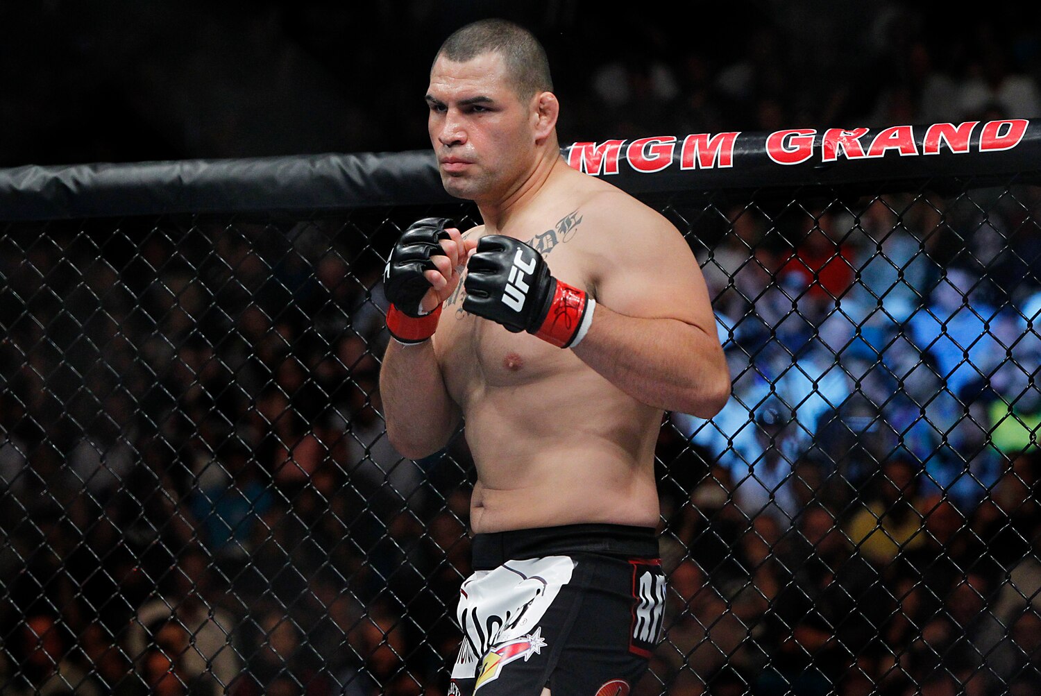 UFC 166: Is Cain Velasquez Really a Weak Puncher ...