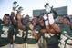 Sep 21, 2013; Waco, TX, USA; Baylor Bears wide receiver Robbie Rhodes (3) and cornerback Josh Benenoch (37) and running back Lache Seastrunk (25) and linebacker Travon Blanchard (48) and safety Collin Simpson (32) celebrate the win over the Louisiana Monroe Warhawks at Floyd Casey Stadium. The Bears defeated the Warhawks 70-7. Mandatory Credit: Jerome Miron-USA TODAY Sports