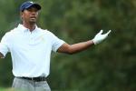 Is Analyst's Labeling of Tiger as a Cheater Fair or Foul?