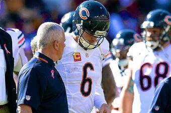 180282669pm019_chicago_bear_crop_north