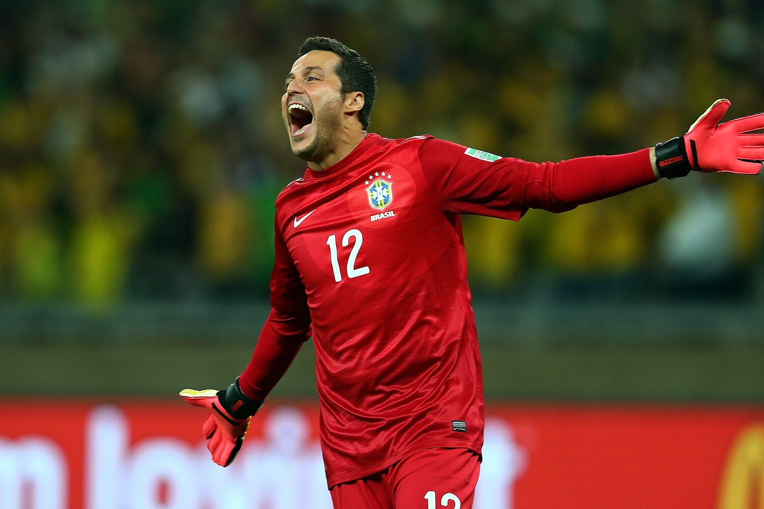 Brazil Goalkeepers in Final Auditions for 2014 World Cup Squad