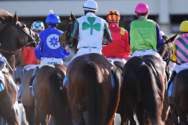 Colic Claims the Life of Recently Retired Dullahan