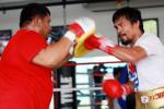 Pacquiao Training Harder Than Ever