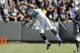 OAKLAND, CA - SEPTEMBER 15: Wide receiver Cecil Shorts III #84 of the Jacksonville Jaguars tries to catch a pass against the Oakland Raiders in the fourth quarter on September 15, 2013 at O.co Coliseum in Oakland, California. The Raiders won 19-9. (Photo by Brian Bahr/Getty Images)