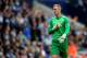 MANCHESTER, ENGLAND - OCTOBER 05: Goalkeeper Joe Hart of Manchester City looks on during the Barclays Premier League match between Manchester City and Everton at Etihad Stadium on October 5, 2013 in Manchester, England. (Photo by Shaun Botterill/Getty Images)
