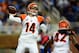 Oct 20, 2013; Detroit, MI, USA; Cincinnati Bengals quarterback Andy Dalton (14) throws a pass during the third quarter against the Detroit Lions at Ford Field. Mandatory Credit: Andrew Weber-USA TODAY Sports