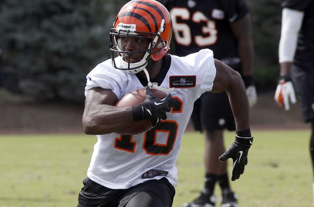 Rey Maualuga and Terence Newman Returned to Practice on Thursday