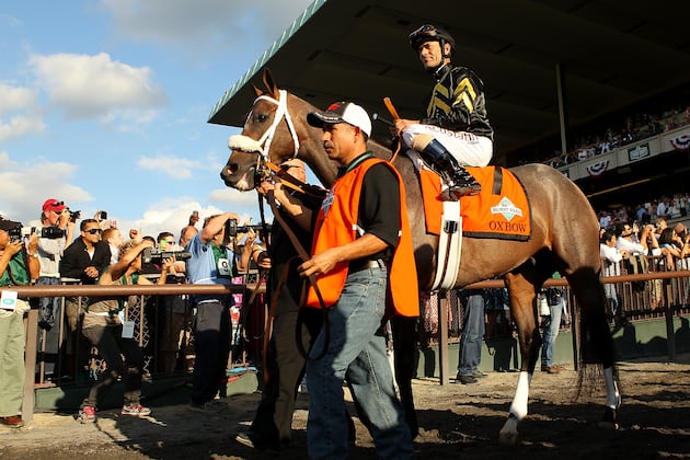Preakness Winner Oxbow Retired to Taylor Made