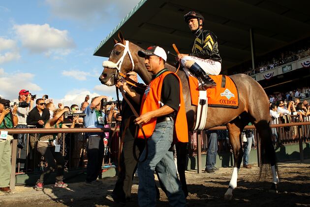 Oxbow, 2013 Preakness Hero, to Taylor Made Stallions