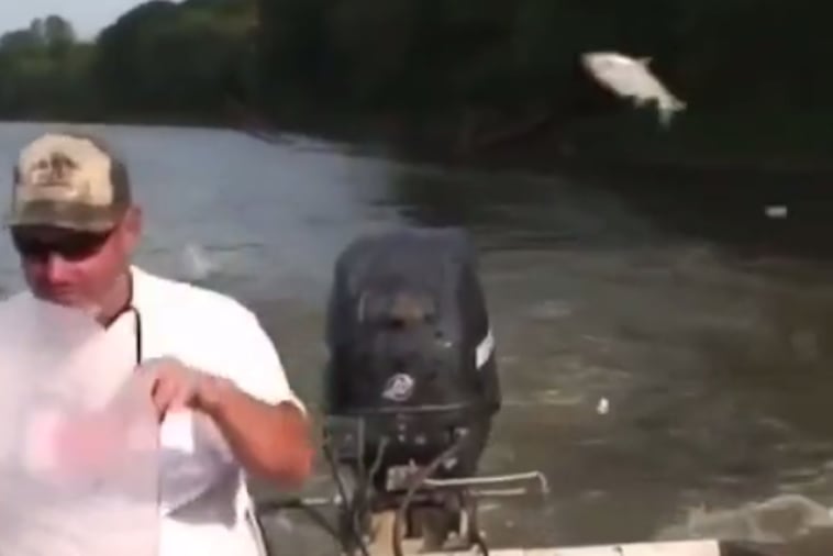 When Fishing Becomes a Contact Sport