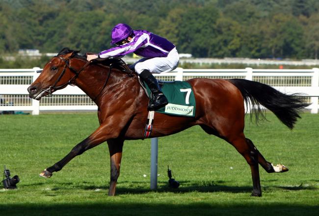 Hi-res-91167126-joshua-tree-ridden-by-colm-odonoghue-wins-the-juddmonte_crop_north