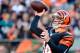 Oct 27, 2013; Cincinnati, OH, USA; Cincinnati Bengals quarterback Andy Dalton (14) throws a pass against the New York Jets during the first half at Paul Brown Stadium. Mandatory Credit: Marc Lebryk-USA TODAY Sports