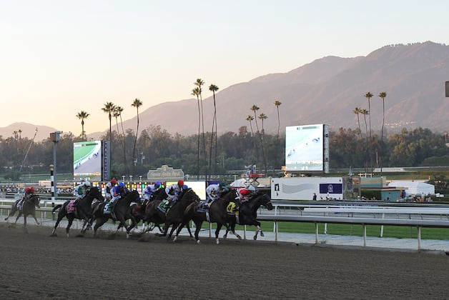 BC Draw: Wise Dan Favored in Mile; Havana in Juvenile