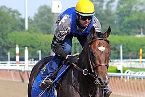 Grade I Winner Paynter to Stand at WinStar