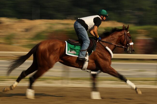 Hi-res-115590228-exercise-rider-heriberto-pulgar-runs-mucho-macho-man_crop_north