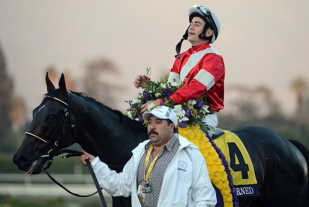 Breeders' Cup 2013 Odds: Updated Outlook and Projections for Classic