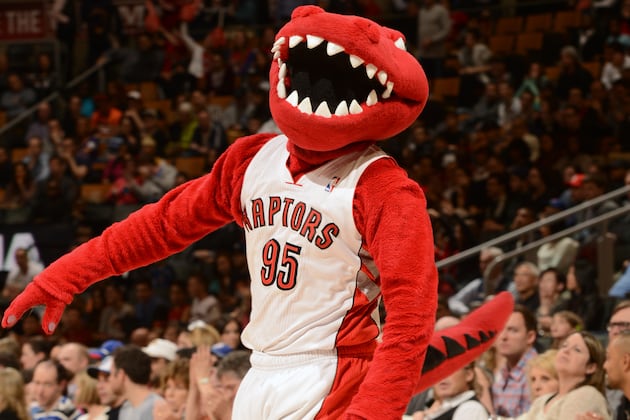 'Understudy' Stripes to Step in for Injured Raptor Mascot