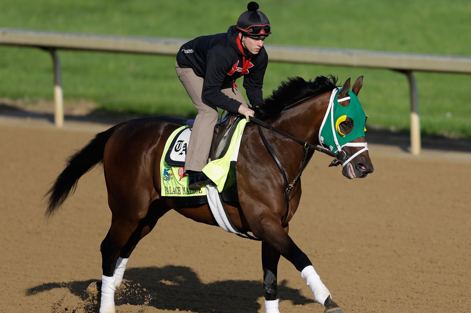 Breeders' Cup 2013 Entries: Breaking Down Best Bets in Classic