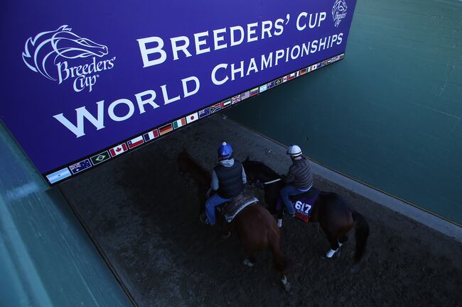 Hi-res-186464470-unbridleds-note-is-lead-to-the-paddock-in-preparation_crop_north