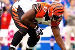 Report: Bengals' Atkins Tore ACL vs. MIA