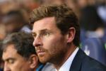 AVB Was Right, Fans Should Take Criticism