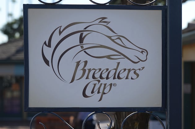 Breeders' Cup 2013: Safest Bets for Saturday's Classic G1 Race
