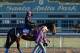 ARCADIA, CA - OCTOBER 30: Dank is lead to the turf in preparation for the Breeders' Cup World Championships at Santa Anita Park on October 30, 2013 in Arcadia, California. (Photo by Harry How/Getty Images)