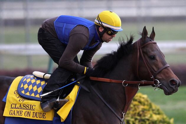 Breeders Cup 2013 Odds: Best Bets for All of Saturday's Races