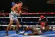 NEW YORK, NY - NOVEMBER 02: Gennady Golovkin knocks down Curtis Stevens in the second round during their WBA Middleweight Title fight at The Theater at Madison Square Garden on November 2, 2013 in New York City. (Photo by Al Bello/Getty Images)