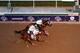 Gary Stevens and Mucho Macho Man prevail in a thrilling Classic.